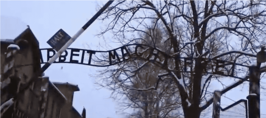 Auschwitz 70 Years Later: Student Investigation